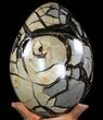 Septarian Dragon Egg Geode - Removable Section #78541-2